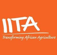 International Institute of Tropical Agriculture (IITA) Job Recruitment
