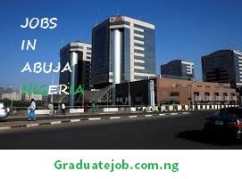 Massive NGO Job Vacancies In Nigeria - 2024 - Graduate Job Portal