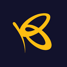 IT Audit Manager at Flutterwave