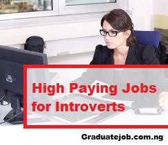 High Paying Jobs for Introverts