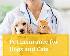 Pet Insurance for Dogs and Cats.
