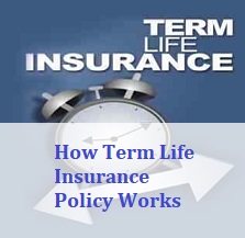 Advantage and Disadvantage of Term Life Insurance Policy.