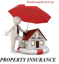 Property Insurance Explained 2022