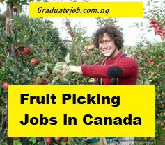 Farm and Fruit Picking Jobs in Canada – Apply Online