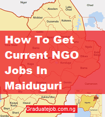 How To Get Current NGO Jobs In Maiduguri