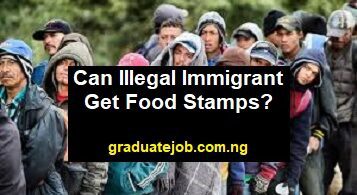 Can illegal immigrant get food stamps?