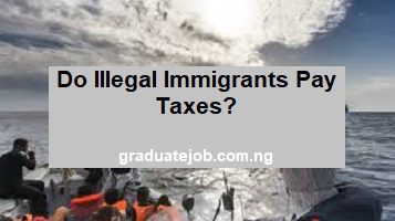 Do illegal immigrants pay taxes?