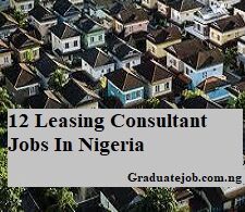 12 Leasing Consultant Jobs In Nigeria