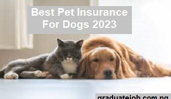 Best Pet Insurance For Dogs 2023