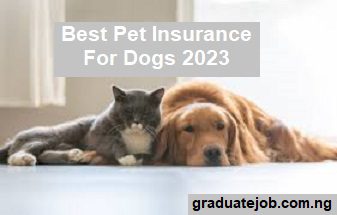 Best Pet Insurance For Dogs 2023