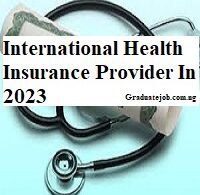 International Health Insurance Provider In 2023