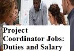 Project Coordinator Jobs: Duties and Salary