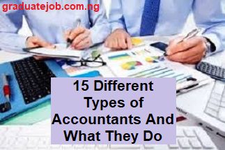 15 Different Types of Accountants and What They Do