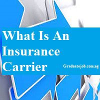 What Is An Insurance Carrier