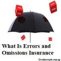 What is Errors and Omissions insurance