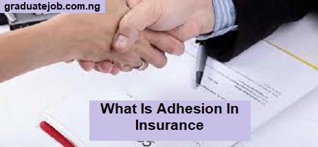 What Is Adhesion In Insurance