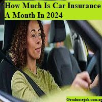 How Much Is Car Insurance A Month In 2024