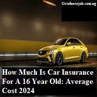 How Much Is Car Insurance For A 16 Year Old: Average Cost 2024