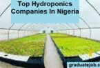 Top Hydroponics Companies In Nigeria
