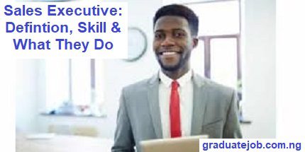 Sales Executive: Definition, Skill & What They Do